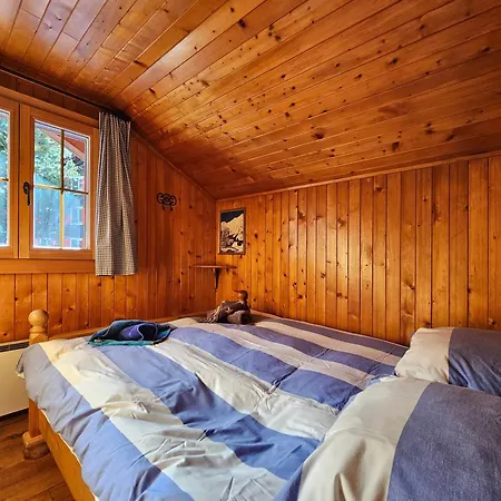 Chalet Le Camee Saas-Fee