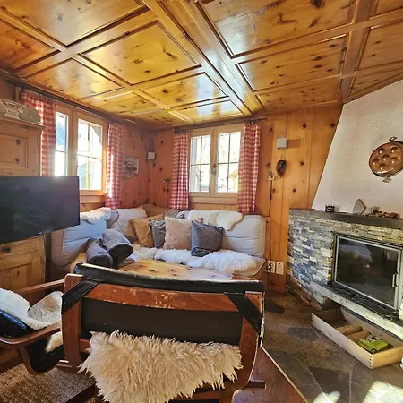 Le Camee Dağ evi Saas Fee